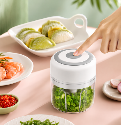 plughouse Portable Mini Chopper